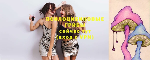 Альфа ПВП Рославль