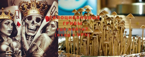 гидра Россошь