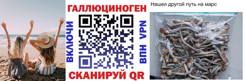 Галлюциногенные грибы прущие грибы  наркота  Белинский 